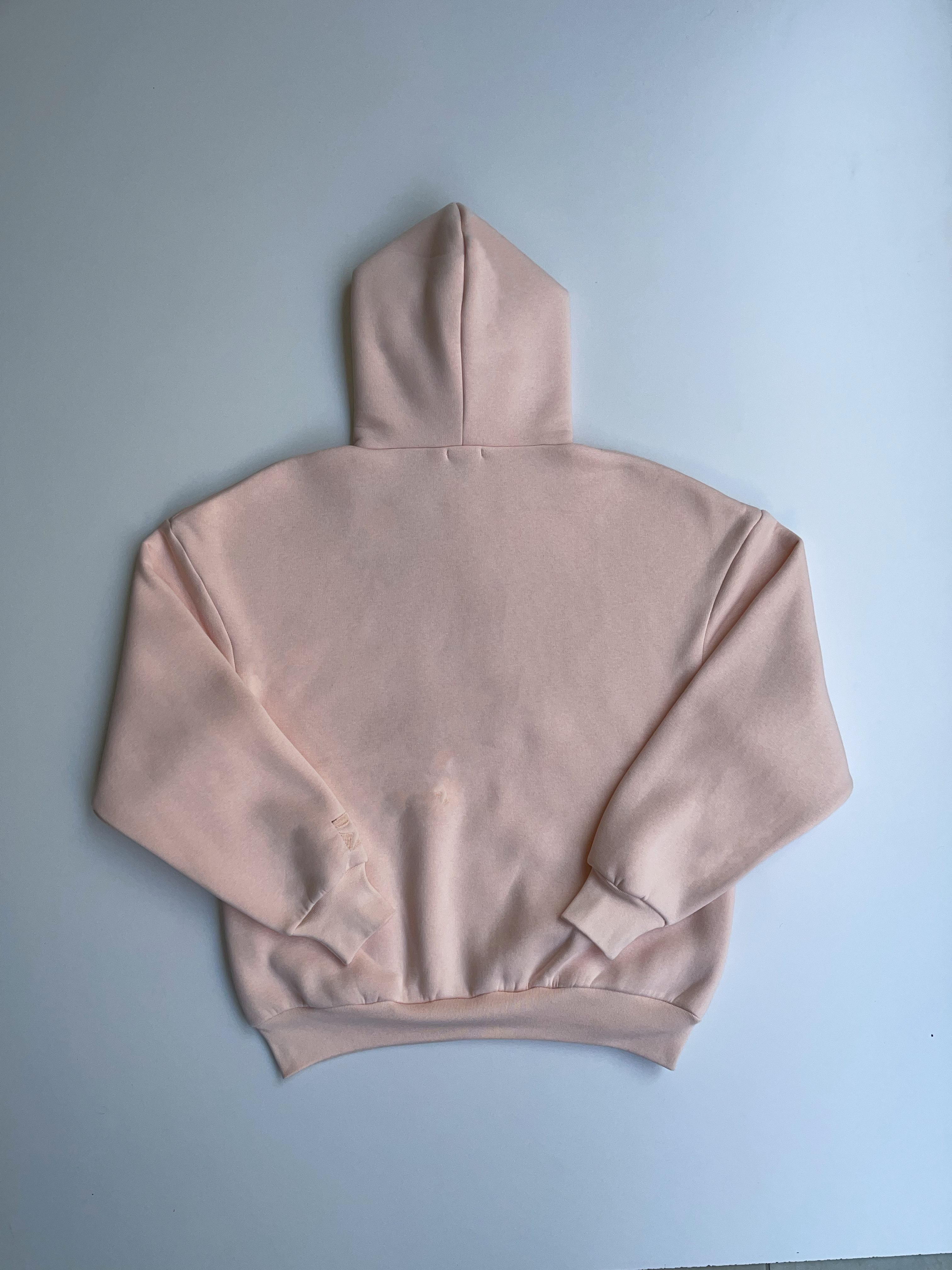S4LZ Hoodie In “Peach”